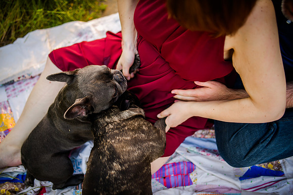 20190504-DSC_6104