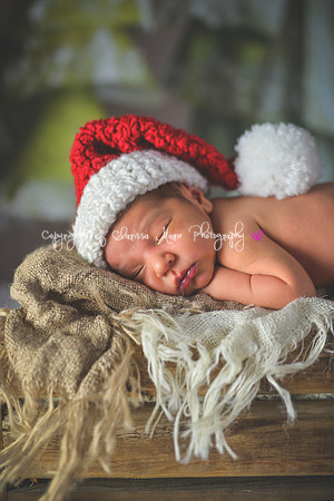 20141216-CMP_3794
