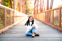 CMP_0360-13