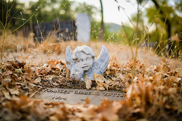 20201101-DSC_8384