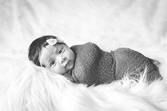 20151221-CMP_9585-2