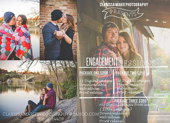 Engagement Flyer 2016 2_edited-1