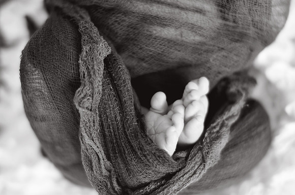 08 17 13_9762BW
