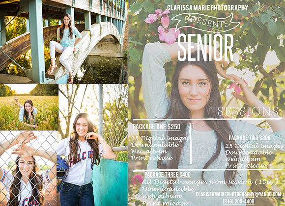 Senior Flyer 2016_edited-1