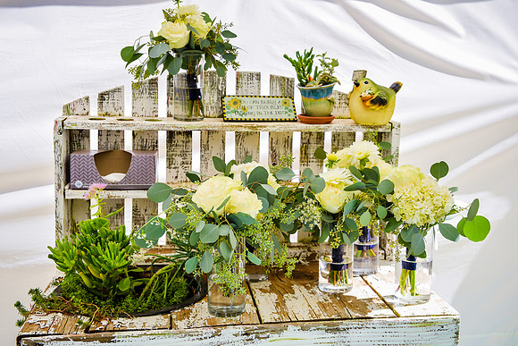 20171007-CMP_4950