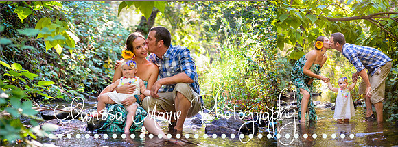 Home page cove