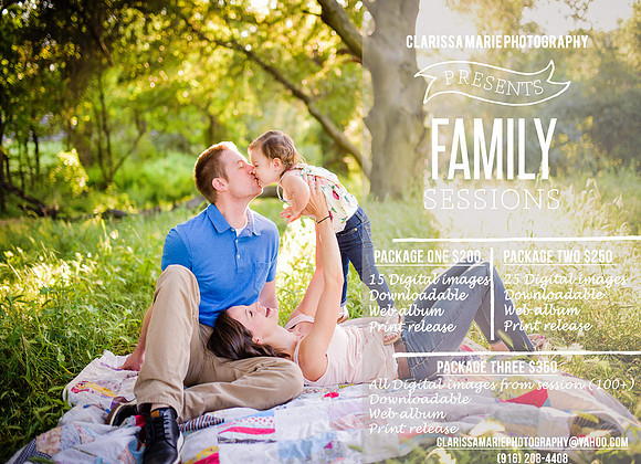 Family-Flyer-2017