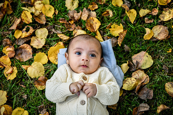 20211120-DSC_2700