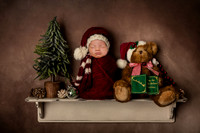 Santa Crew