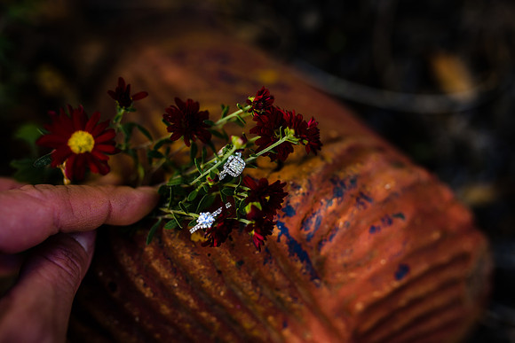 20171007-CMP_4812