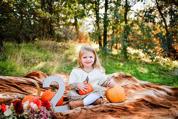 20231112-CMP_3071