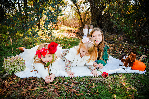 20231112-CMP_3241