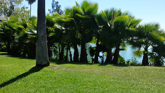 20130827_130917