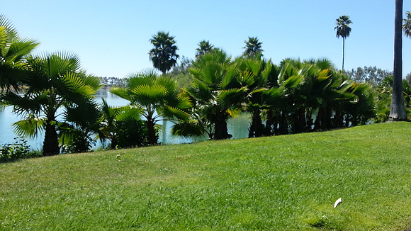 20130827_130916