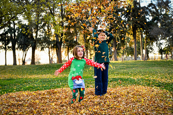 20201208-DSC_0657