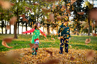 20201208-DSC_0646leaves