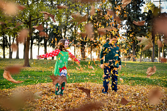 20201208-DSC_0646leaves