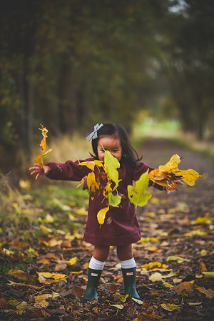 20171118-CMP_1874