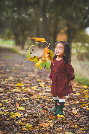 20171118-CMP_1883