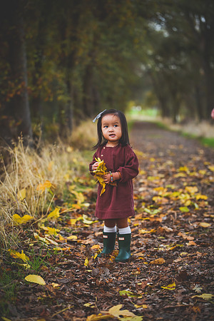 20171118-CMP_1892