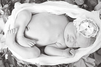 09 17 13_9376BW