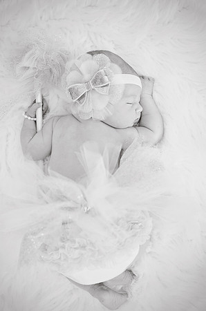 09 17 13_9346BW
