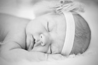 09 17 13_9325BW