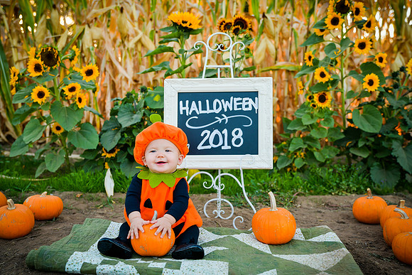 20181018-DSC_3235