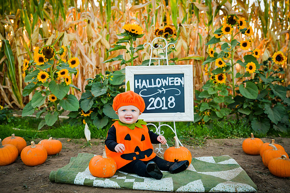 20181018-DSC_3261