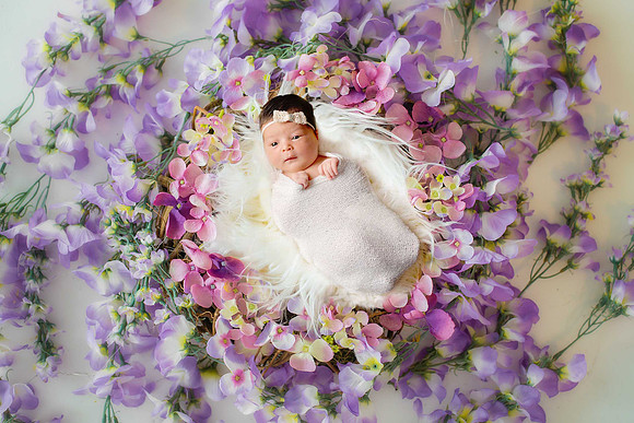 Viola_digitalnewbornbackdrop