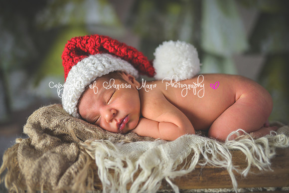 20141216-CMP_3795