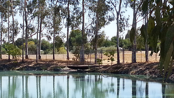 20130827_132921