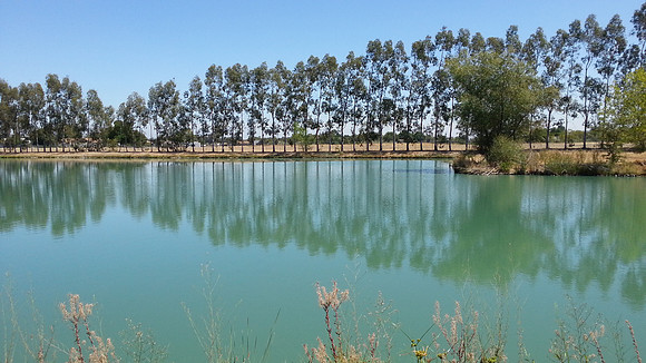 20130827_132837