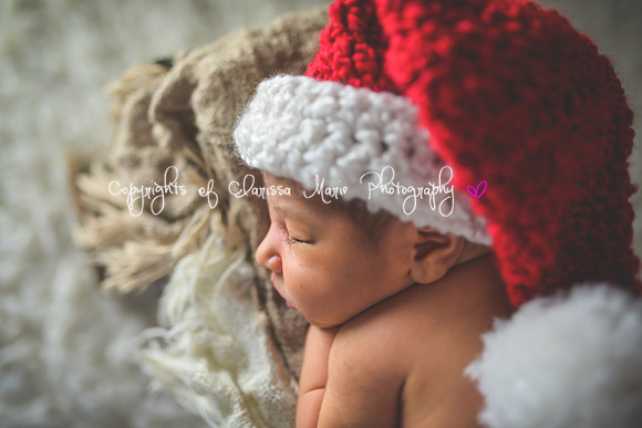 20141216-CMP_3801