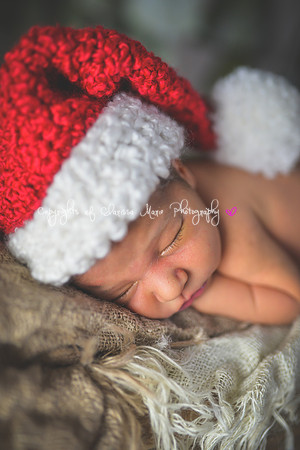 20141216-CMP_3798