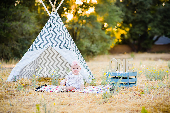 20160813-CMP_5733