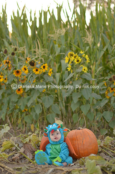 10 23 13_4649