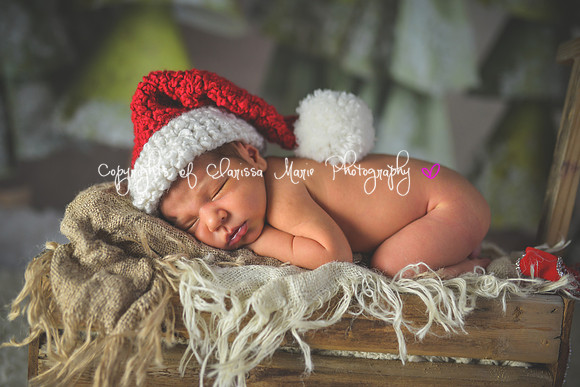 20141216-CMP_3810
