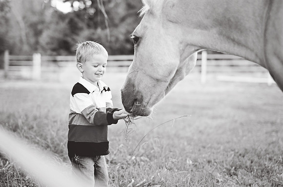 09 16 13_8646BW