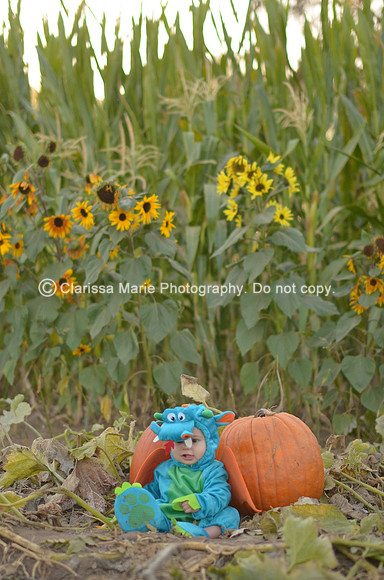 10 23 13_4641